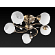 Потолочная люстра Toplight Beryl TL3540X-05AB