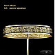 Потолочная люстра Bohemia Ivele Crystal 19321/55IV GB R781