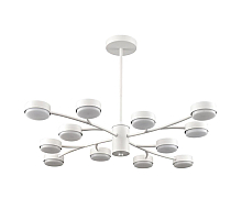 Люстра на штанге Lumion Comfi Torina 8265/12