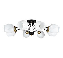 Потолочная люстра ARTE Lamp A2706PL-8CK
