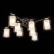 Потолочная люстра Citilux Диез CL111181