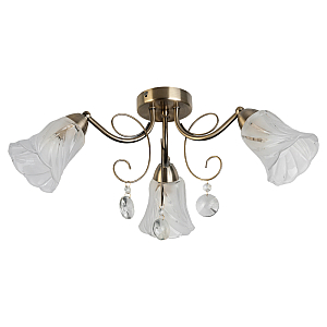 Потолочная люстра Toplight Charla TL7100X-03AB