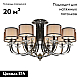 Потолочная люстра iLamp America 88049/10 CR