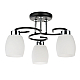Потолочная люстра Arte Lamp Krit A4505PL-3BK