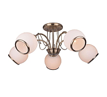 Потолочная люстра Toplight Octavia TL3760X-05AB