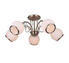Потолочная люстра Toplight Octavia TL3760X-05AB