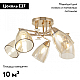 Потолочная люстра Arte Milano Amalfi 326419/5 FG+WH