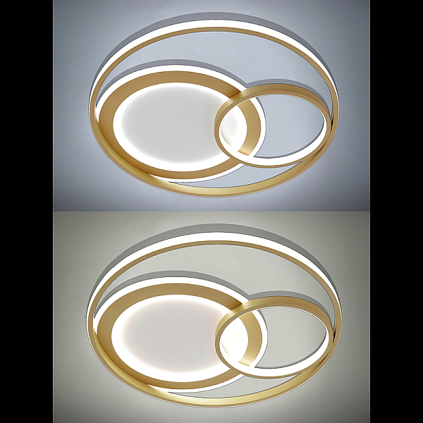 Потолочная люстра Natali Kovaltseva LED LAMPS 81312