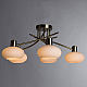 Потолочная люстра Arte Lamp 97 A7556PL-5AB