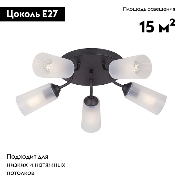 Потолочная люстра Vitaluce V3762-1/5PL