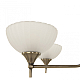 Потолочная люстра Arte Milano 340049/6 AB