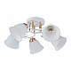 Потолочная люстра Arte Milano Amalfi 325395/5A WH+FG