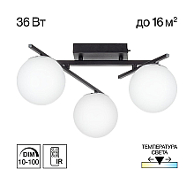 Настенно-потолочный светильник Citilux Dorsy CL223132