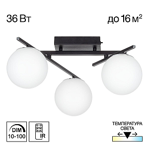 Настенно-потолочный светильник Citilux Dorsy CL223132