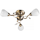 Потолочная люстра Toplight Lorin TL3570X-03AB