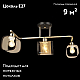 Потолочная люстра Reluce 04226-0.3-03 AB+BK