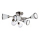 Потолочная люстра Arte Lamp 3 A6059PL-6AB