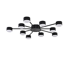 Потолочная люстра Lumion Comfi Torina 8344/10C