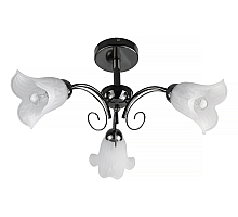 Потолочная люстра Toplight Magdalene TL3490X-03BC