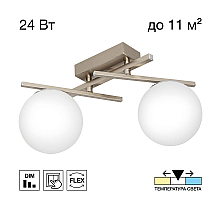 Потолочный светильник Citilux Dorsy CL223121