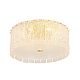 Потолочный светильник Crystal Lux Oviedo PL6