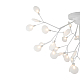 Потолочная люстра Freya Florencia FR5049CL-36W1