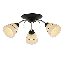 Потолочная люстра Toplight Winnifred TL1255D-03BC
