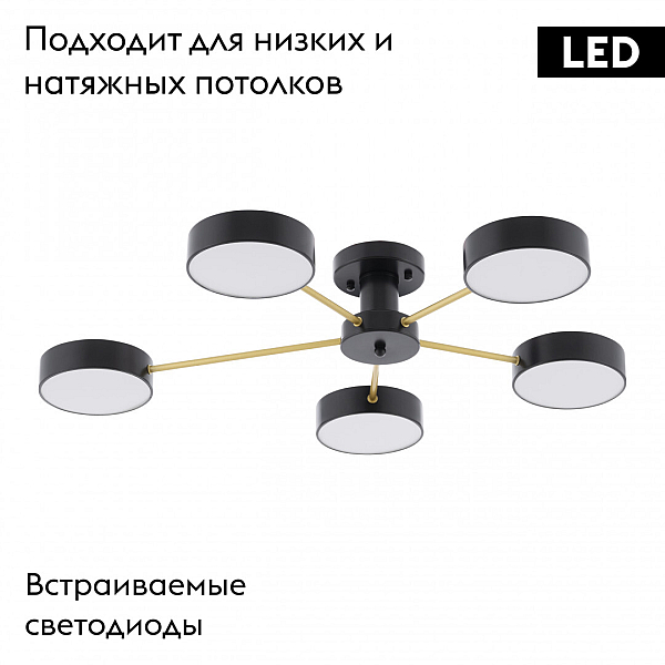 Потолочная люстра Arte Milano Ferrara 252006/5 Bk/Bk