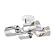 Потолочная люстра Freya Dual FR5226PL-04W