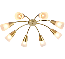 Потолочная люстра Escada Aquilegia 1100/8P Gold