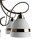 Потолочная люстра Arte Lamp 55 A6192PL-5AB