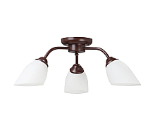 Потолочная люстра Vitaluce V3252/3PL