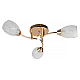 Потолочная люстра Toplight Lucy TL7120X-03FG