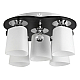 Потолочная люстра Toplight Marsha TL2680X-06WC