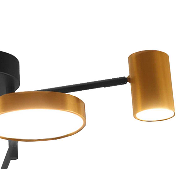 Потолочная светодиодная люстра Kink Light Рапис 07645-6D,19(20)