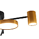 Потолочная светодиодная люстра Kink Light Рапис 07645-6D,19(20)