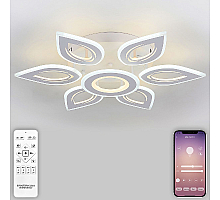 Потолочная люстра Natali Kovaltseva Led Series 551 LED LAMPS 81123/6C