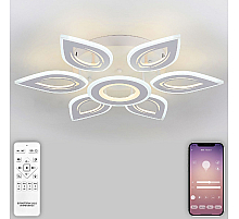 Потолочная люстра Natali Kovaltseva Led Series 551 LED LAMPS 81123/6C