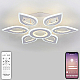 Потолочная люстра Natali Kovaltseva Led Series 551 LED LAMPS 81123/6C