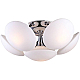 Потолочная люстра Arte Lamp Soffione A2550PL-6CC