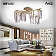 Потолочная люстра Citilux Axis CL313283