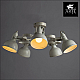 Потолочная люстра Arte Lamp Martin A5216PL-5WG
