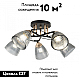Потолочная люстра Arte Milano Amalfi 322610/5 BK+FG
