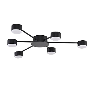 Потолочная люстра Lumion Comfi Torina 8344/6C
