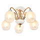 Потолочная люстра MyFar Nika MR1671-5C