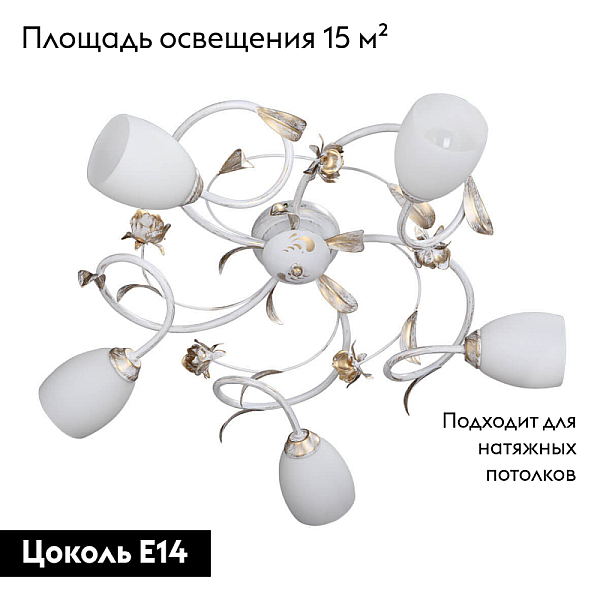 Потолочная люстра Vitaluce V1538/5PL