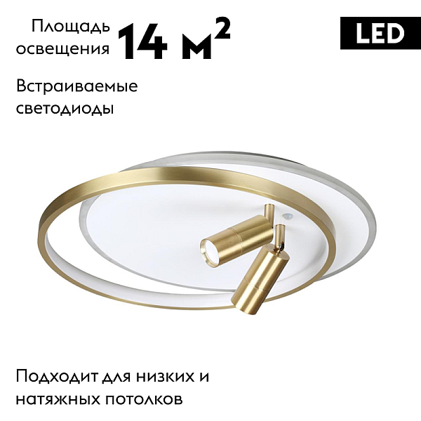 Потолочная светодиодная люстра Lumion Naoko 5603/63CL