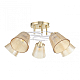 Потолочная люстра Arte Milano Amalfi 323006/5 FG+WT