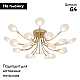Потолочная люстра F-Promo Skein 4197-20C