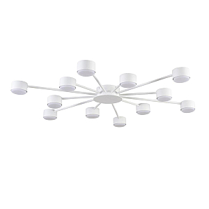 Потолочная люстра Lumion Comfi Torina 8343/12C